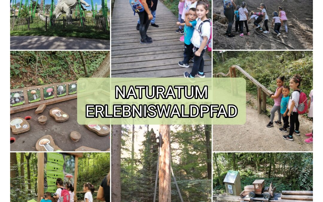 NATURATUM – Erlebniswaldpfad