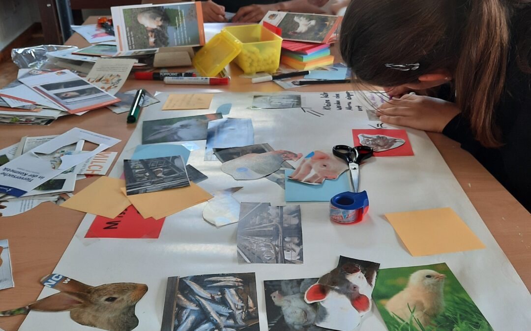 Gründung einer AG an der Elly-Heuss-Knapp-Schule