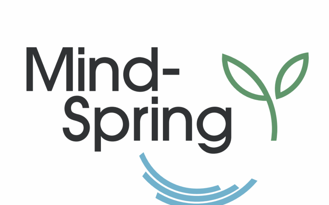 Erstes Mind-Spring Netzwerktreffen im Landratsamt Böblingen – Ein gelungener Auftakt für mehr Vernetzung und Engagement