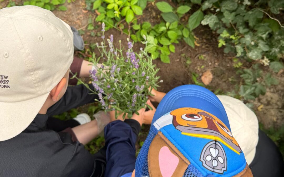 Gartenfreude für Klein und Groß