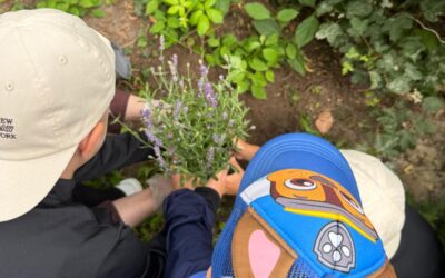 Gartenfreude für Klein und Groß