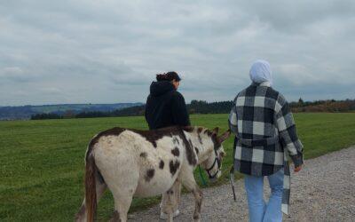 Projektabschluss mit Herz: Eselwanderung im Rahmen von „Frauen stärken Frauen“