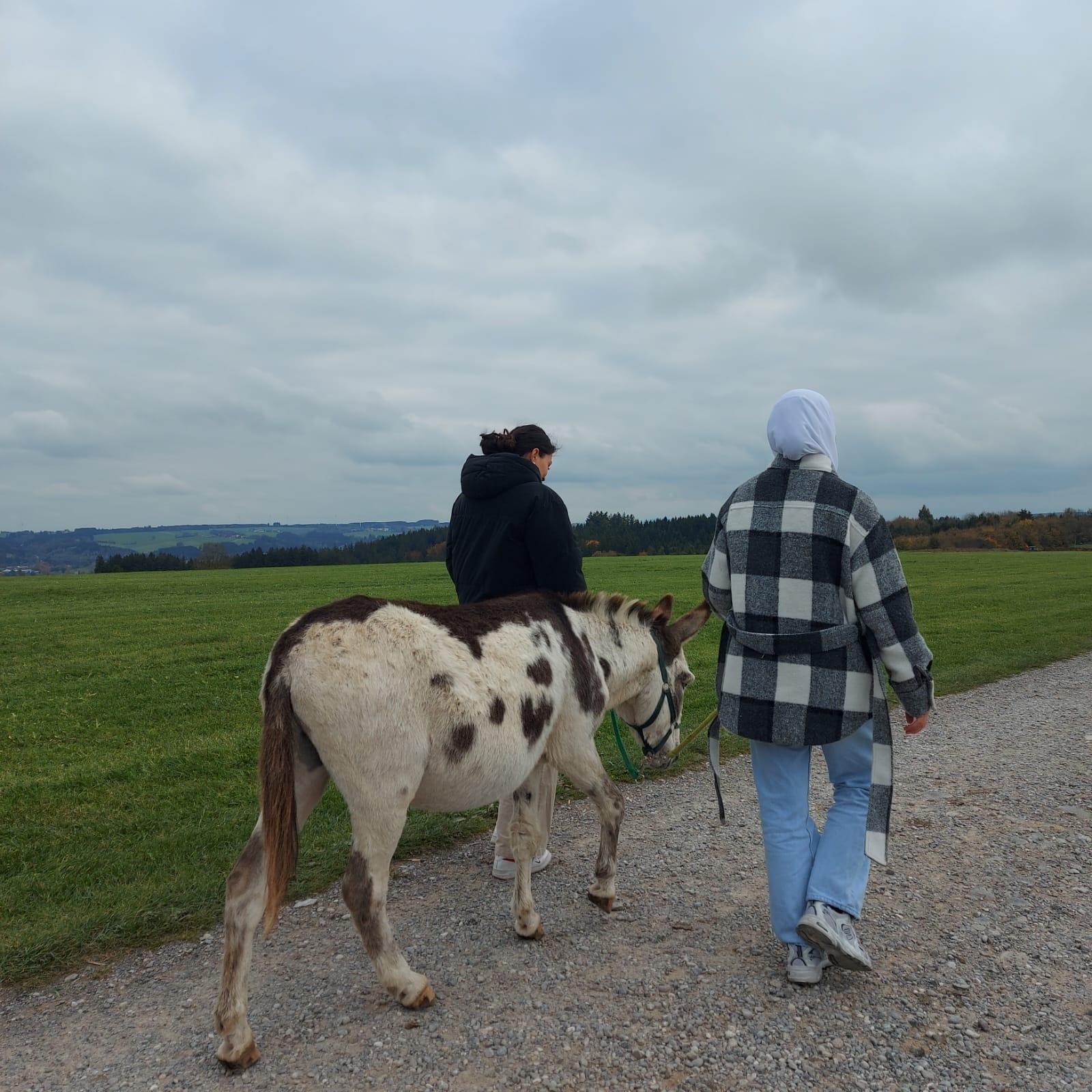 WhatsApp Image 2025-10-18 at 10.35.39